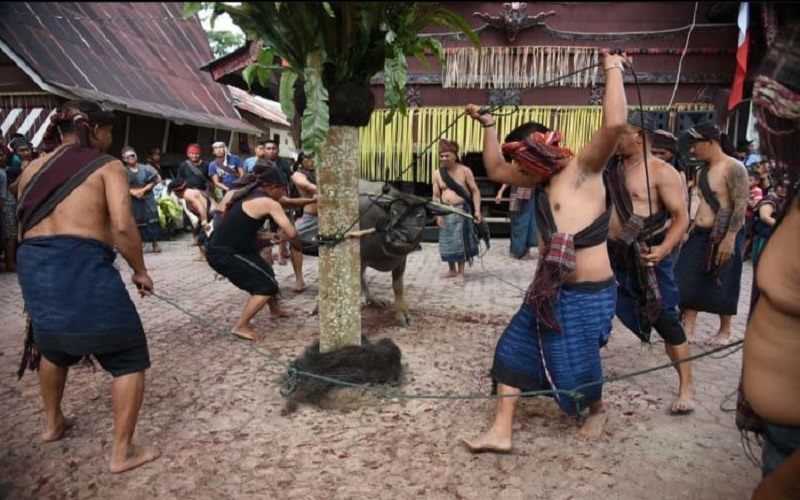 Kenapa Batak punya Banyak Marga? Suku Batak (Foto: Dok Humas Sumut)