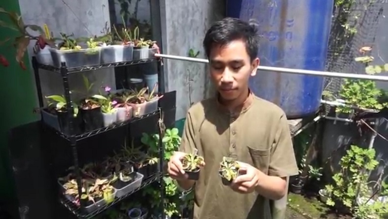 Khoerul Anwar, warga Dayeuhkolot, Bandung, yang meraih jutaan rupiah dari tanaman karnivora. (FOTO: iNews/ERICK FAHRIZAL)