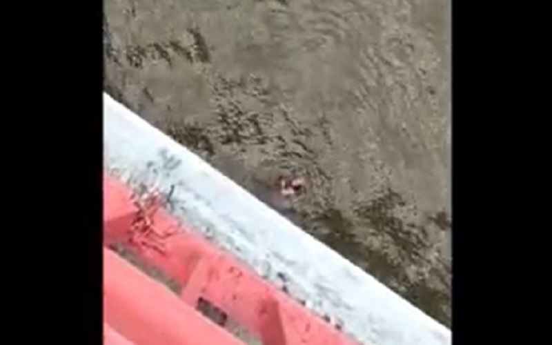 Korban mengambang di atas Sungai Musi setelah melompat dari Jembatan Ampera. (Foto: tangkapan layar/M David)