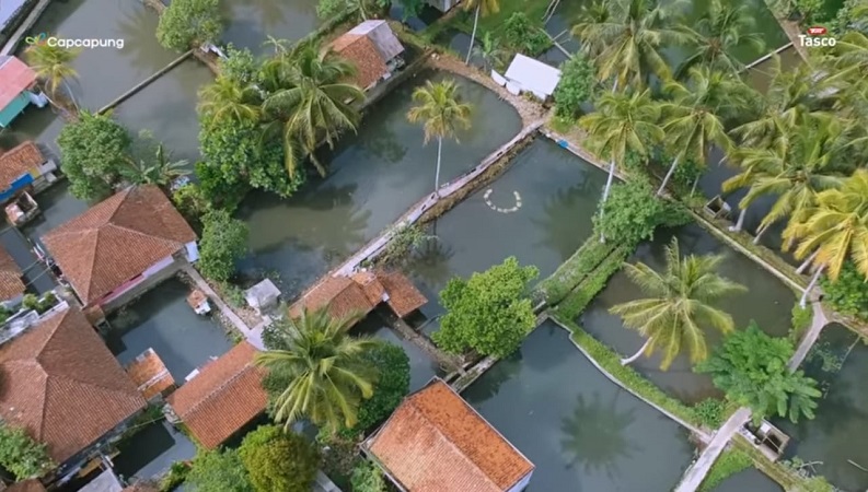 Kolam budi daya ikan nila milik Rifqi Abdul Roif. (Foto: YouTube CapCapung)