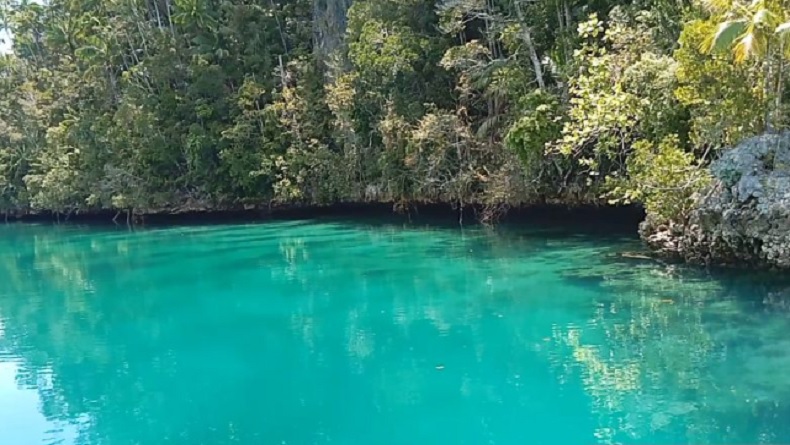 Teluk Triton terletak di Kabupaten Kaimana, Provinsi Papua Barat, bagian dari segitiga terumbu karang dunia dengan sejumlah keanekaragaman hayati.  (Foto: Antara).