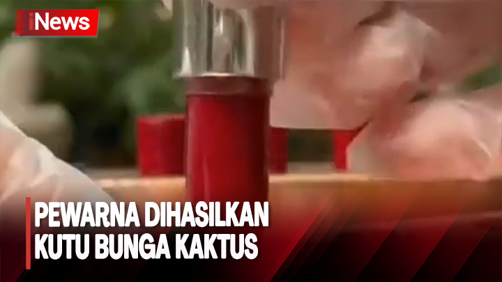 Makanan dan Minuman Berbahan Pewarna Karmin  Diharamkan  PWNU Jatim 