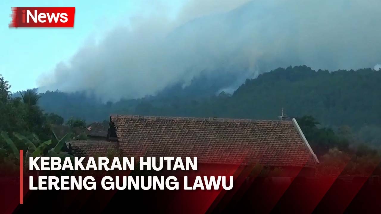 Kebakaran Hutan Lereng Gunung Lawu Menjalar Hingga Ke Perkampungan ...