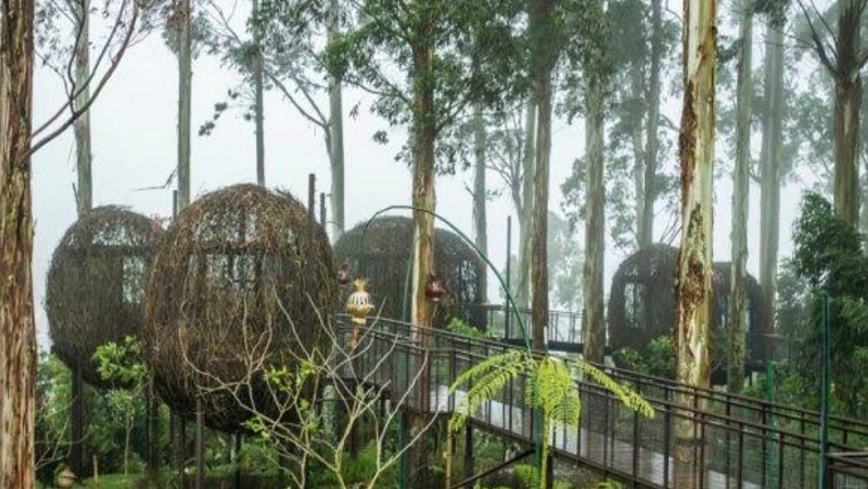 Lutung Kasarung. (FOTO: ISTIMEWA)