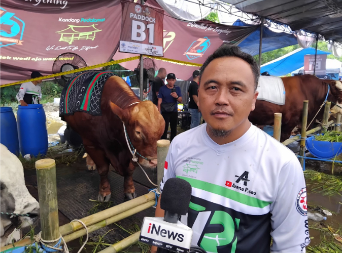 Rizqi Amin merasakan dampak Kontes dan Expo Sapi APPSI ini dapat memotivasi peternak sapi lokal karena dampak ekonominya sangat signifikan. (Foto: iNews Media Group/Jack Newa)