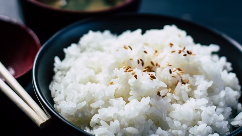 Manfaat berhenti makan nasi 