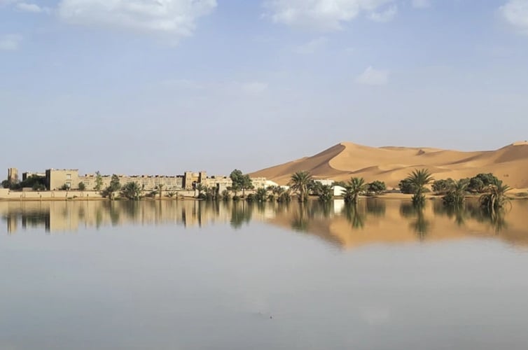 Sebuah oasis di sebuah danau akibat hujan lebat di kota gurun Merzouga, dekat Rachidia, Maroko tenggara. (Foto: AP)