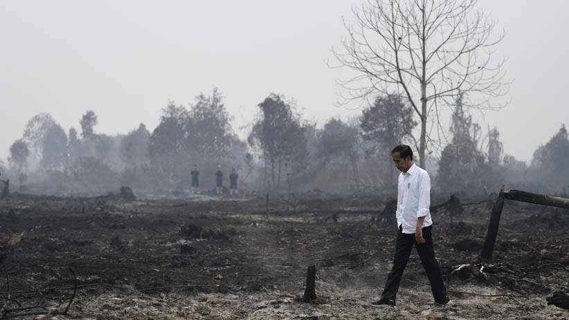 Presiden Joko Widodo saat meninjau penanganan kebakaran lahan di Desa Merbau, Kecamatan Bunut, Pelalawan, Riau, Selasa (17/9/2019). (Foto: Antara/Puspa Perwitasari)