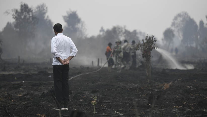 Presiden Joko Widodo saat meninjau penanganan kebakaran lahan di Desa Merbau, Kecamatan Bunut, Pelalawan, Riau, Selasa (17/9/2019). (Foto: Antara/Puspa Perwitasari)