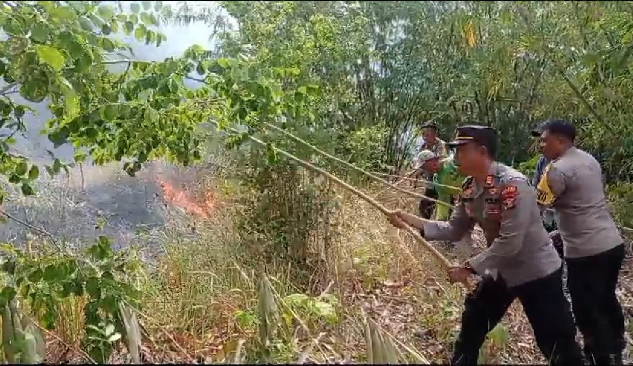 Kebakaran Lahan Tanaman Jati Dan Bambu Dilalap Api 4559