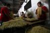 Begini Proses Pembuatan Mie Kuning Tradisional - Bagian 5
