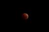 Melihat Keindahan Super Blue Blood Moon di Pantai Kenjeran Surabaya - Bagian 3