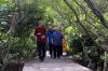 Wali Kota Liverpool Jalan-Jalan ke Hutan Mangrove Surabaya - Bagian 5