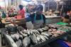 Suhu Dingin Landa DIY, Produksi Ikan Terancam Turun