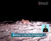 Mangsa 3 Ekor Kambing, BKSDA Padang Tangkap Harimau Sumatera