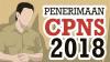 Seleksi CPNS 2018, Sistem Rangking Hanya untuk Formasi yang Kosong
