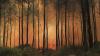 Hutan Gunung Ciremai Terbakar 495 Hektare, Api Merambat ke Kebun Raya