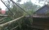 17 Bangunan di Tana Toraja Rusak Parah Diterjang Puting Beliung