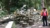 Pohon Tumbang Timpa 4 Wisatawan di Kaliurang Sleman, 1 Orang Tewas