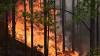Hutan di Lereng Gunung Panderman Kota Batu Terbakar, BPBD Cari Pendaki