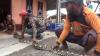 Banjir Surut, Warga Jombang Heboh Temukan Ular Piton Sepanjang 4 Meter