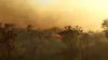 Gunung Welirang di Mojokerto Terbakar, Belasan Hektare Pohon Langka Hangus
