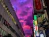 Viral Langit Jepang Berwarna Pink Sebelum Diterjang Topan Hagibis