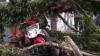 Pengendara Motor Tewas Tertimpa Pohon Tumbang akibat Hujan Badai di Bogor