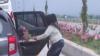 Viral Emak-Emak Cabut Bunga Hias di Jalan Tol, PT Jasamarga: Jangan Terulang Lagi
