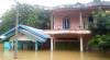 Banjir 4 Meter Rendam 62 Rumah di Kabupaten Tebo Jambi, Warga Berharap Bantuan Makanan