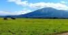 5 Destinasi Pilihan di Dalam Negeri untuk Liburan Seru