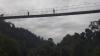 Ngeri, Bocah 8 Tahun Jatuh dari Jembatan Gantung di Kawasan Wisata Tangkahan