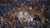 2 Bobotoh Tewas di Stadion GBLA, Polrestabes Bandung Lakukan Penyelidikan