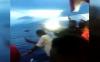 Detik-Detik 5 Penumpang Kapal Lambelu di Sikka Lompat ke Laut, 3 ABK Positif Covid-19