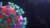 Apple dan Google Kerja Sama Bikin Teknologi Contact Tracing Virus Corona