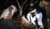 Video Dramatis Penangkapan Pelaku Pencuri Kios dan Motor di Puncak Gunung Palopo
