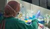 Kementan Manfaatkan Laboratorium Hewan untuk Uji PCR Covid-19