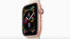 Selamatkan Nyawa, Apple Watch Memanggil 911 Usai Deteksi Pengguna Pingsan