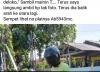Viral di Medsos, Kakek Pamerkan Alat Kelamin di Kulonprogo Diamankan Polisi