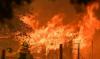 Gudang Styrofoam Wisata Bakau Probolinggo Ludes Terbakar