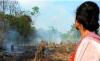 Pemerintah Lepas Status Hutan Lindung 6.901 Hektare Lahan di Sekadau Kalbar