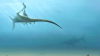 Ahli Paleontologi Identifikasi Dinosaurus Spesies Baru yang Ditemukan di Isle of Wight