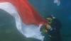 Puluhan Penyelam Bali Kibarkan Merah Putih di Kedalaman 10 Meter