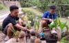 2 Remaja Banyumas Buka Usaha Bonsai Kelapa, Hasilnya untuk Beli Kuota Internet Sekolah