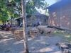 Pemain dan Penonton Judi Sabung Ayam Kabur saat Digerebek, 28 Motor Tertinggal