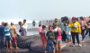 Seekor Hiu Tutul Mati dan Terdampar di Pantai Paseban Kencong Jember