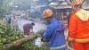 Hujan Es Disertai Angin Kencang Landa Cimahi, Sejumlah Pohon Tumbang