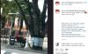 Viral Pasangan Mesum di Alun-Alun Sragen, Netizen Gerah