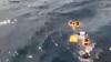 Kapal Tenggelam di Perairan Pulau Sonit, Cawabup Banggai Laut Asgar Badalia Meninggal