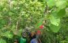 Tak Bisa Bayar Utang, Perempuan Gunungkidul Gantung Diri di Hutan Jati